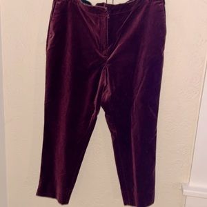 ANN TAYLOR
